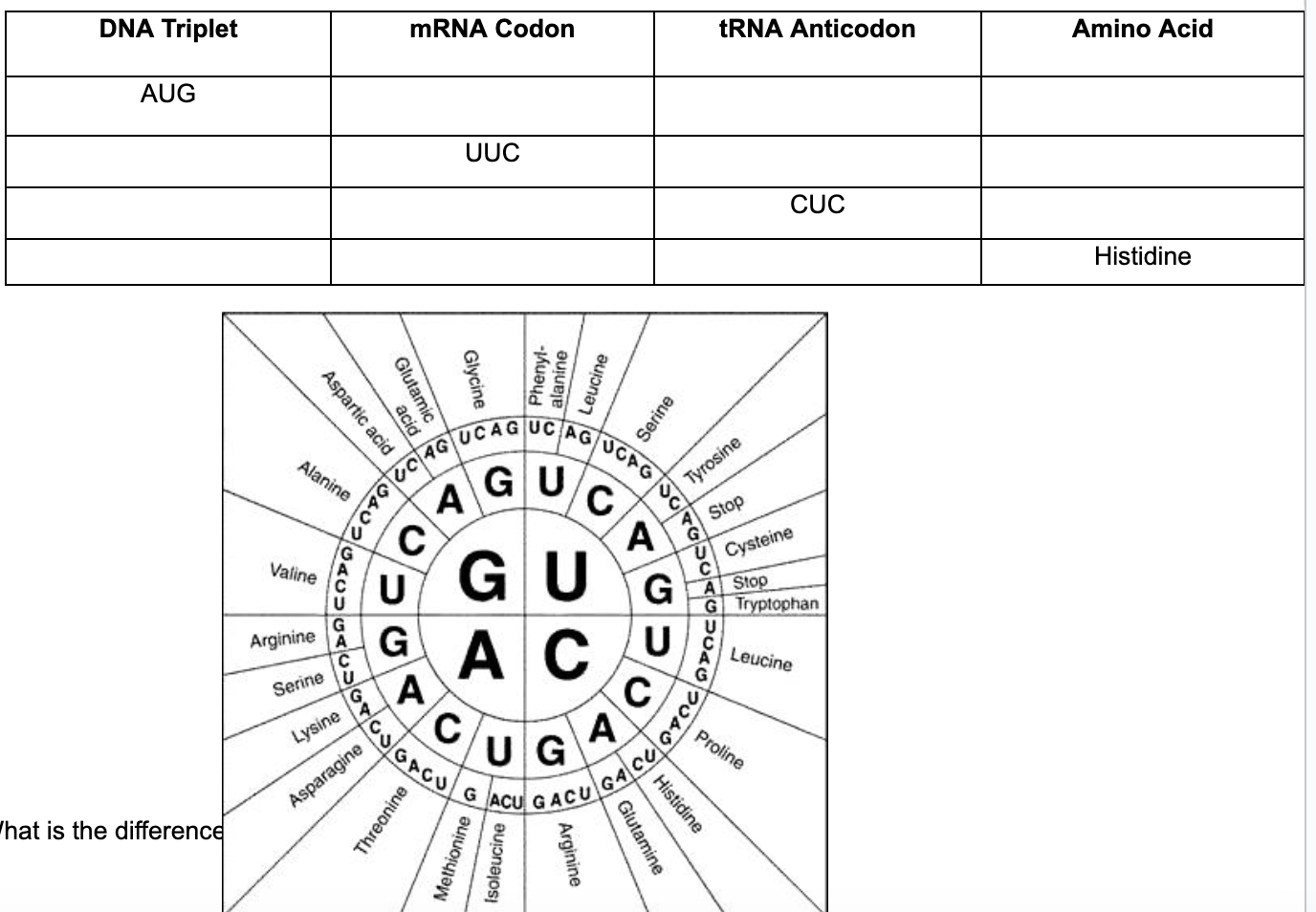 <p>Complete the chart below</p>
