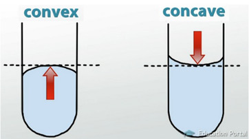<p>a join between substances</p>