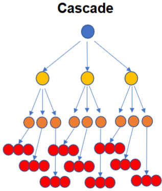 <p>One activated molecule → activates many downstream targets → each of those activates even more → the signal multiplies at each step.</p>