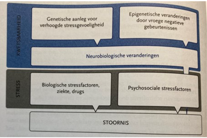 <p><span><strong>Psychiatrische aandoening </strong><u>begrepen </u>kan worden als het <strong>resultaat </strong>van een <strong>complex samenspel tussen</strong> een<strong> erfelijke, biologische kwets-baarheid en multiple stressfactoren</strong> .</span></p>