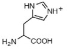 <p>Histidine (H)</p>