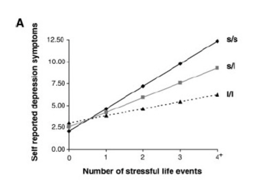**Genotype-environment interaction (GxE)**

* Research into serotonin (5HTT; neurotransmitter) found that there is a common genetic variation in the serotonin transporter gene. Namely, it could be long (l) or short (s), respectively resulting in more or less serotonin. 
* It was found that a combination of $$2 short alleles (s/s) and more experienced stressful life events resulted in higher levels of depressive symptoms.$$ No difference in depression was found when there was no or just 1 stressful life event. 

 	 