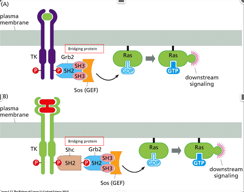 <p>What does SOS do in the pic?</p>