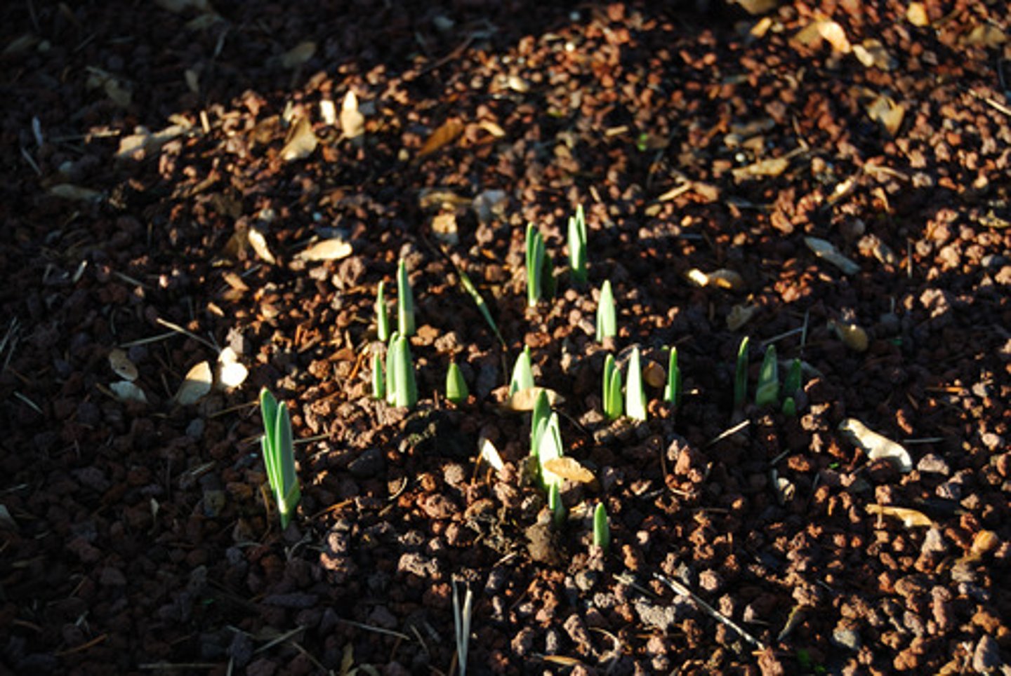 <p>warm (nuăn huo)</p>