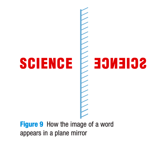 <p>The image in the plane mirror is always… (<strong>SALT</strong>)</p><ol><li><p>the <strong>same size</strong> as the object (<strong>S: size</strong>)</p></li><li><p><strong>Upright</strong> but <u>LATERALLY INVERTED (</u><strong><u>reverse order</u></strong><u>)</u> (<strong>A:  attitude</strong>)</p></li><li><p>Object to mirror &amp; image to mirror is <strong>same distance</strong> (<strong>L: location</strong>)</p></li><li><p><strong>Virtual</strong> (not real; just our brain’s imagination) (<strong>T: type</strong>)</p></li></ol>
