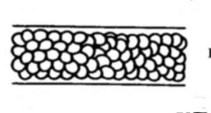 <p>What type of animal medulla is this?</p>