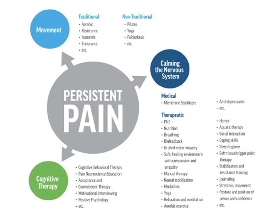 <ul><li><p>cognitive therapy</p></li><li><p>movement </p></li><li><p>calming the nervous system</p></li></ul><p></p>