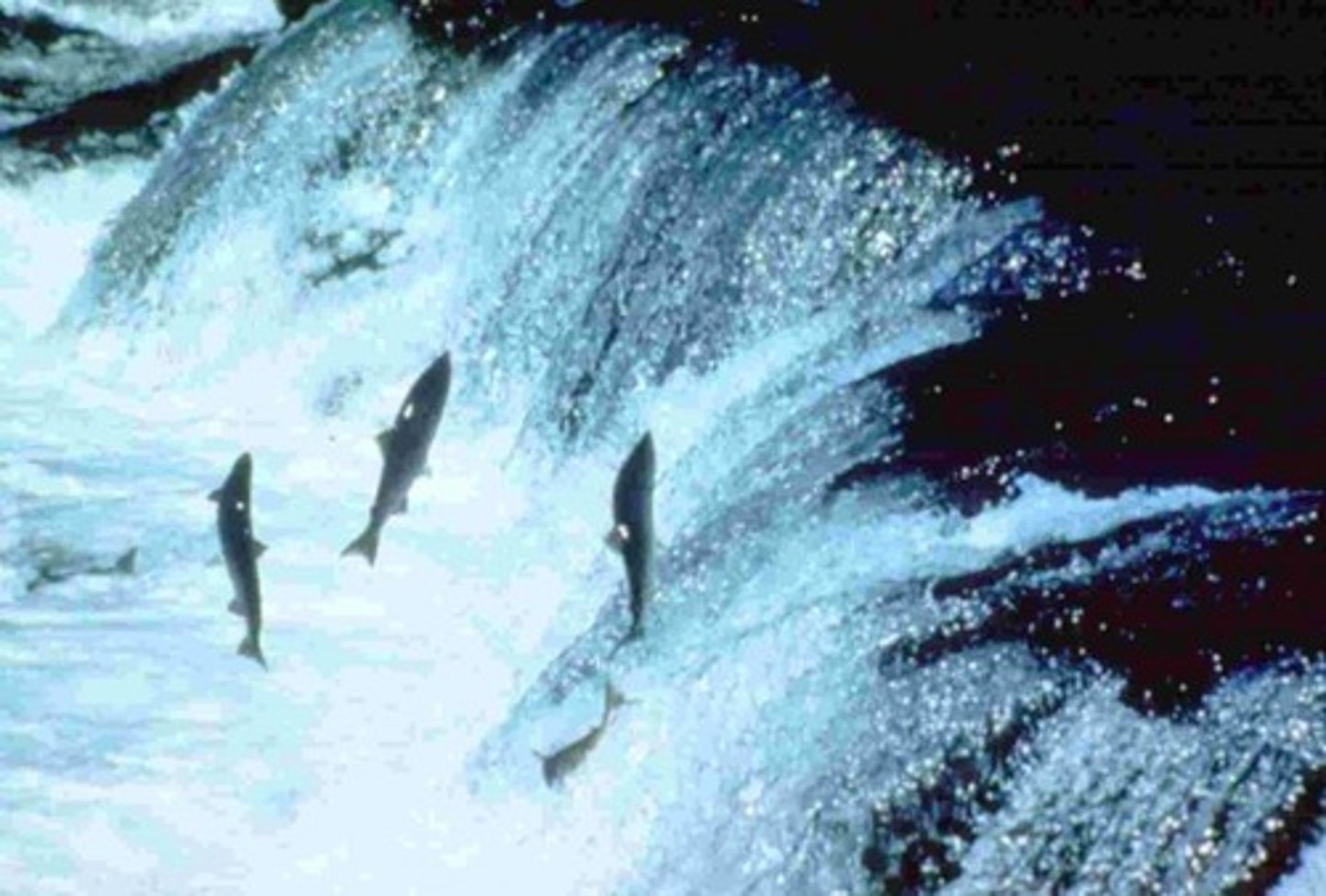 <p>the direction moving against the flow of a water source (from mouth to source)</p>