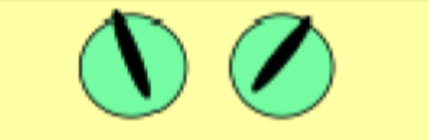 <p>Which muscle is responsible for rotating the eye as shown in the image?</p>