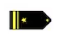 <p>One gold 1/2-inch stripe outboard one 1/4-inch gold stripe outboard a gold five pointed star (O2)</p>