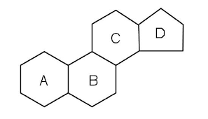 <p>6 membered ring connected to 6 member ring connected to 6 membered ring to a 5 membered ring</p>