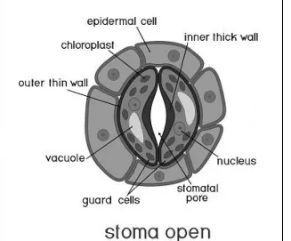 <p>Describe this image</p>