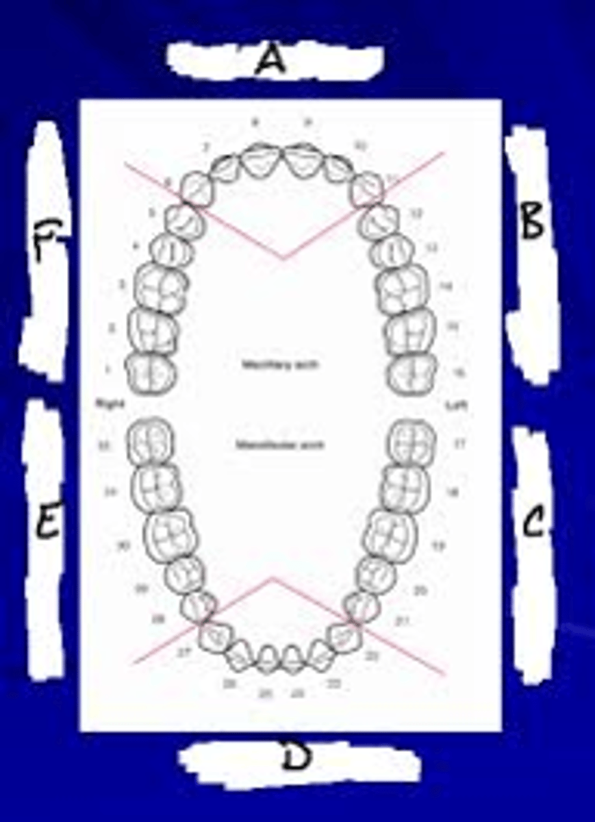 <p>-mouth is divided into sextants</p><p>-the tooth w the most debris/calculus in each sextant is examined</p><p>-the DI and CI can be used separately or combined to determine oral hygiene</p>