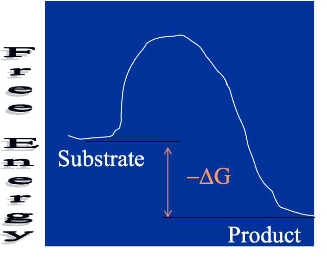 <ul><li><p><span>If ΔG is -ve, energy is liberated&nbsp; and the reaction is said to be exergonic</span></p></li><li><p style="text-align: left"><span>A reaction can&nbsp; occur spontaneously only if ΔG is –ve.</span></p></li></ul><p></p>