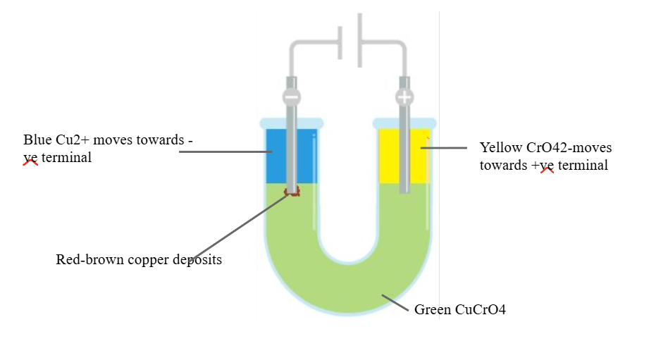 <p>Different ions have different colours in solution (only some <strong>transition</strong>). </p><p>Colour separation during electrolysis is evidence of the presence of ions in ionic compounds.</p>