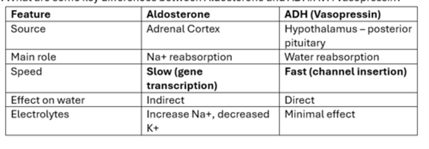 <p>Aldosterone = salt</p><p>ADH = Water</p>