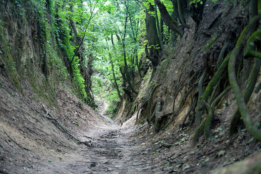 <p>Deep, narrow gorge</p>
