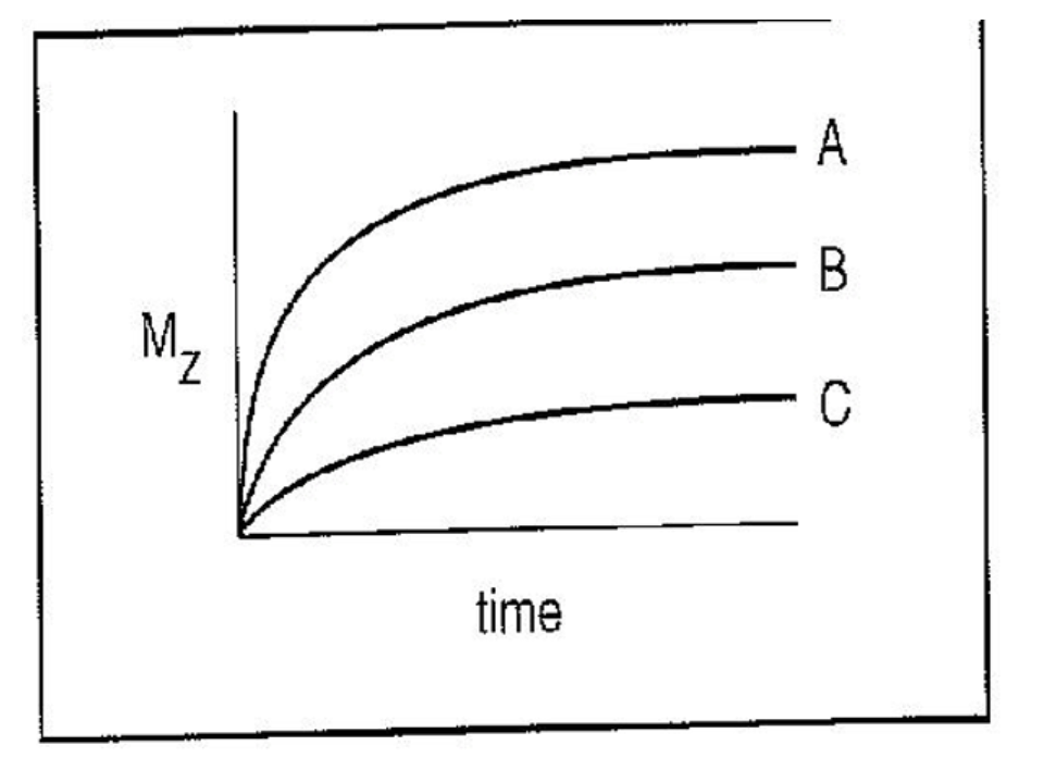 <p>Which of the tissues represented in the above figure has highest spin density?<br />
A. A<br />
B. B<br />
C. C<br />
D. not enough information</p>