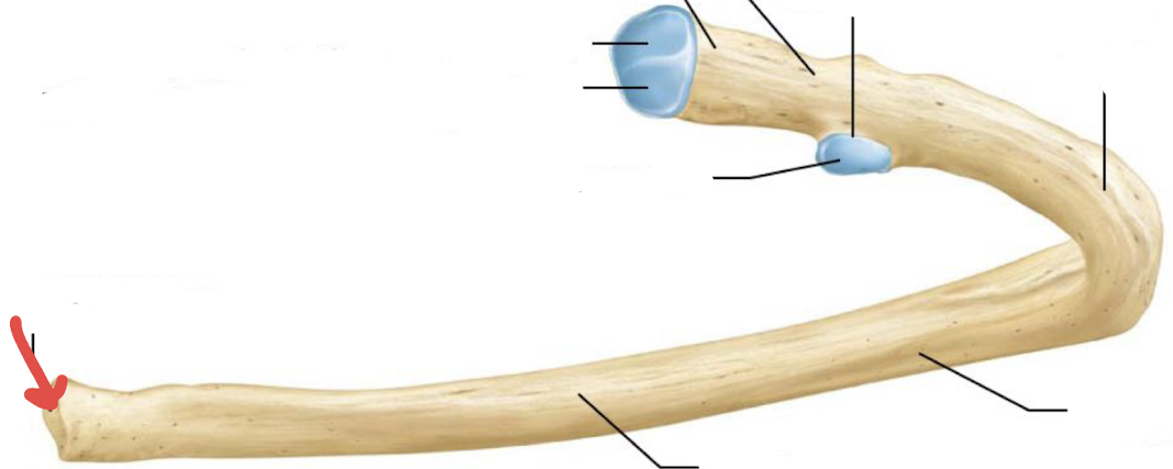 <p>what is this?</p>