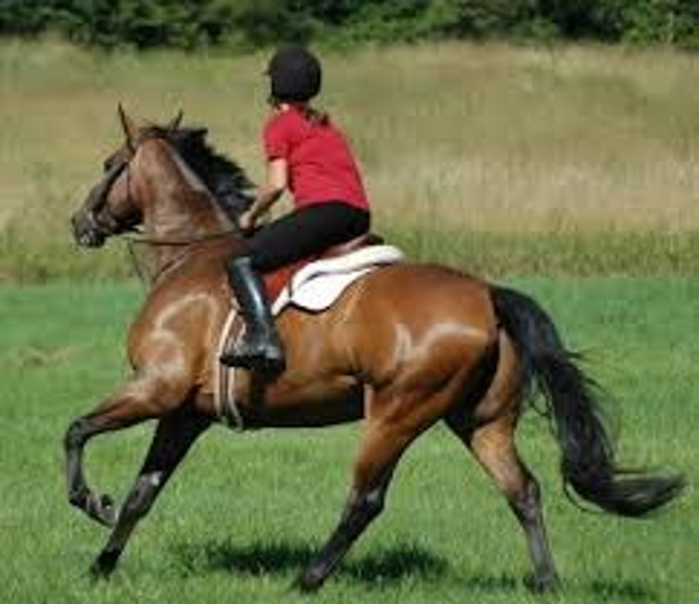 <p>to ride (horse)</p>