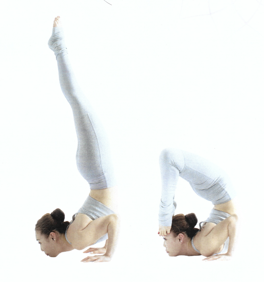 <p>Chin Stand / Formidable Face Pose</p>