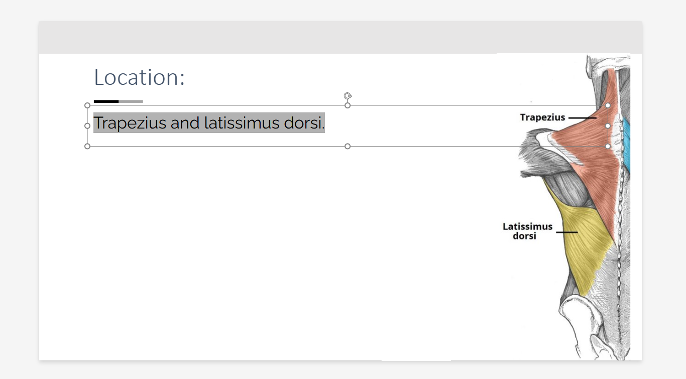 knowt flashcard image