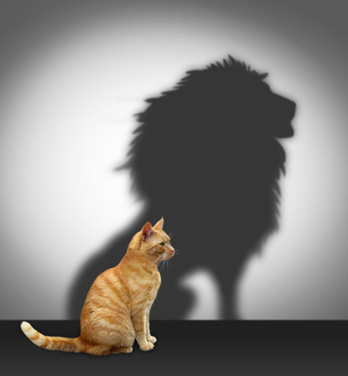 <p>courage, virtue</p>