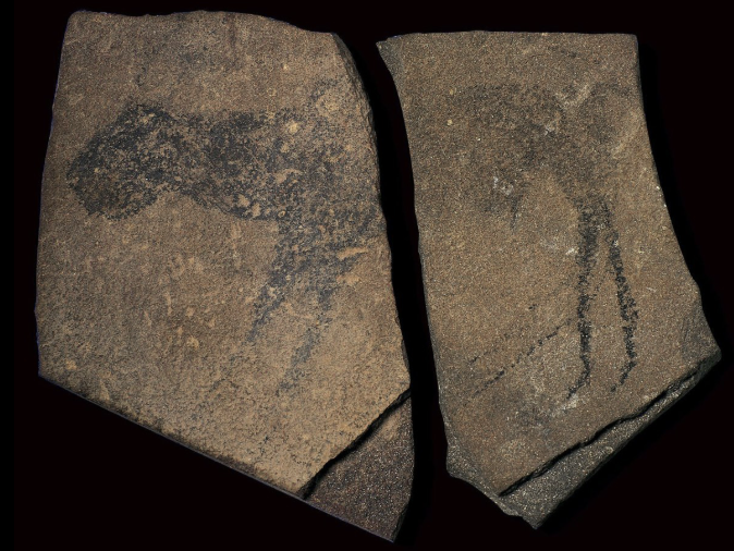 term image