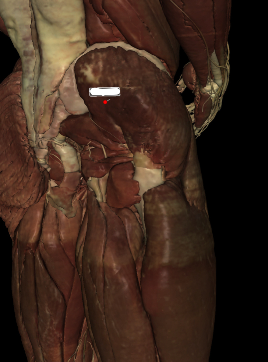 <p>Identify the Structure</p>