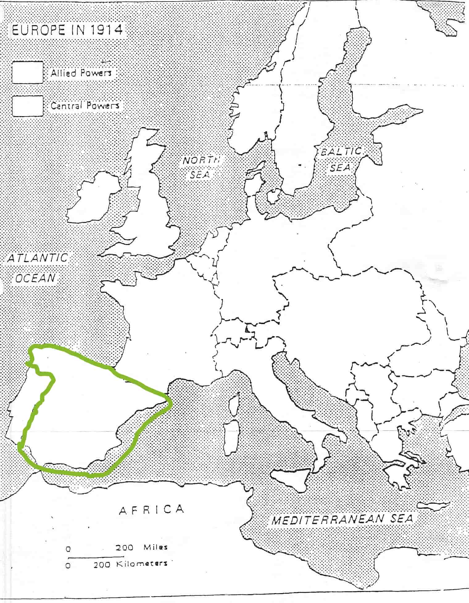 term image