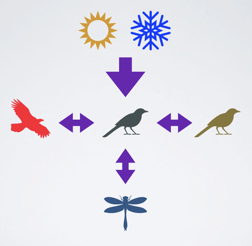 <ul><li><p><span style="color: rgb(255, 255, 255);"><span>a field within both ecology and evolution that examines how interactions between and within species evolve, and the interactions between species and<br>their environment</span></span></p></li><li><p><span style="color: rgb(255, 255, 255);"><span>It explicitly considers the evolutionary effects of competitors, mutualists, predators, prey, and pathogens</span></span></p></li></ul><p></p>