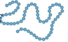 <p>linear, specific sequence of amino acids in a polypeptide chain </p>