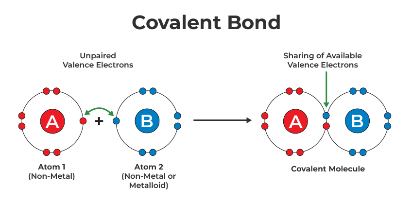 <p>Occurs when non-metal elements bond to other non-metal elements. The valence electrons are shared between the bonded atoms so each atom achieves a full valence shell. A covalent bond is directional.</p>