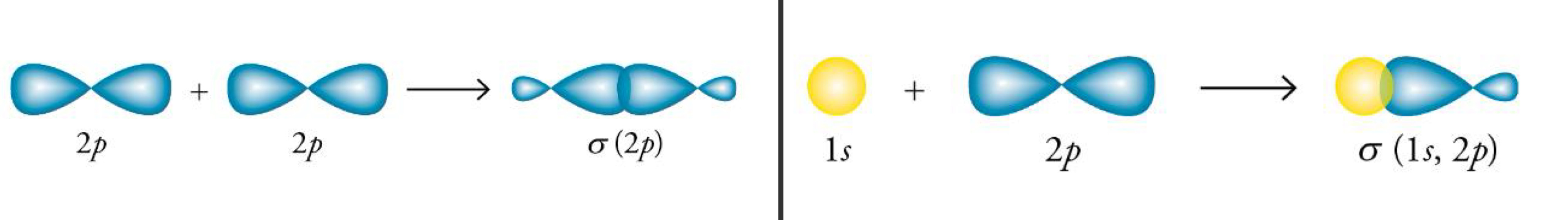 <p>La forme d'une liaison σ dépend des orbitales atomiques dont elle provient.</p>