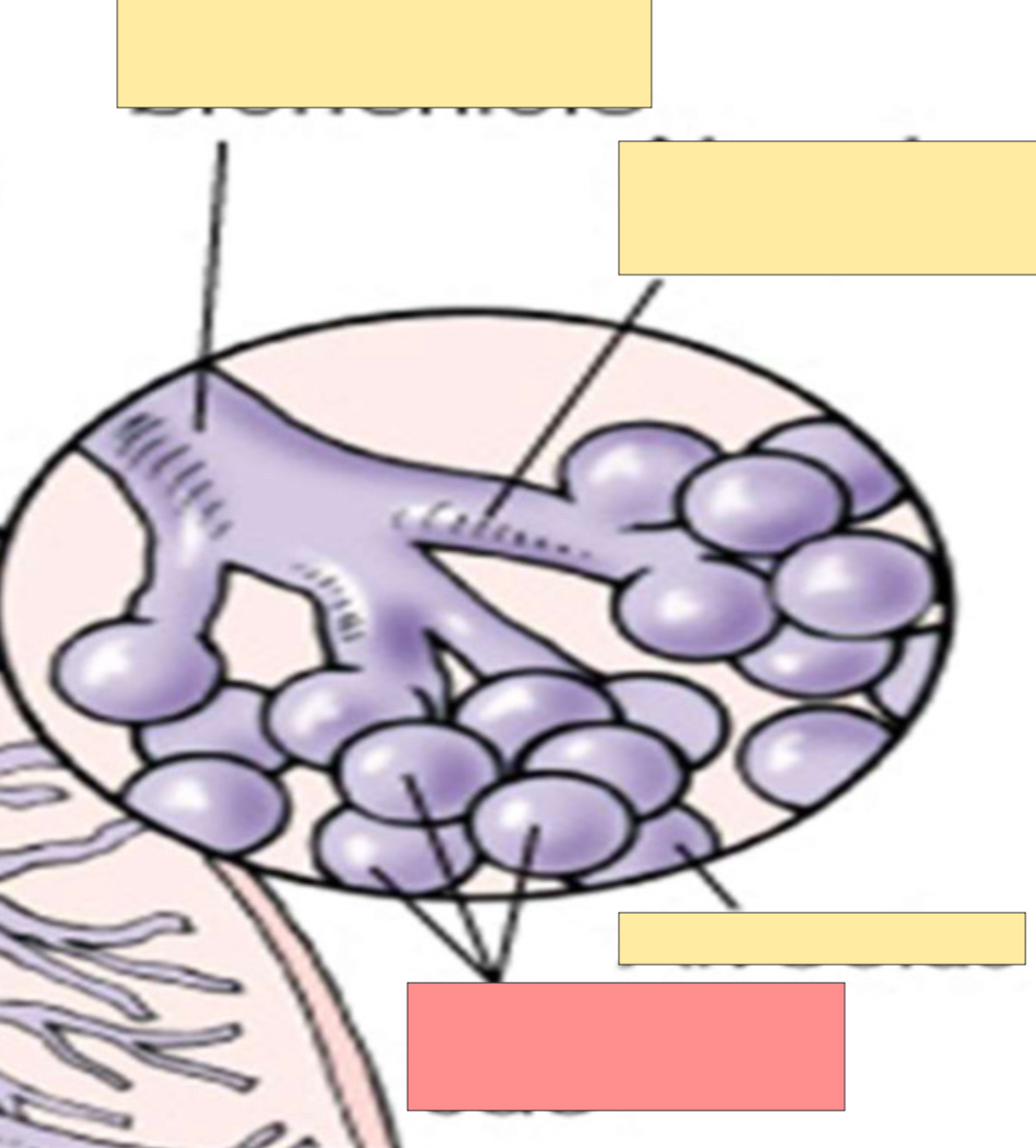 <p>What is this? </p>