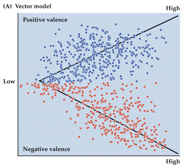 <ul><li><p>Vector model</p><ul><li><p>describes emotions by 2 components:</p><ul><li><p>Valence</p><ul><li><p>positive or negative emotion</p></li></ul></li><li><p>Arousal</p><ul><li><p>strength of an emotion</p></li></ul></li></ul></li><li><p>self-report but also physiology</p></li></ul></li><li><p>Circumplex model</p><ul><li><p>also has Valence and Arousal</p></li><li><p>DIFFERENCE: mapped to a circle, approximately</p><ul><li><p>more suggestive of a continuum of emotional states</p></li></ul></li><li><p>think: top left is Pooh bear, top right is Tigger, bottom left is Eeyore, bottom right is i forgot the name but stressed-out yellow rabbit</p></li></ul></li></ul>