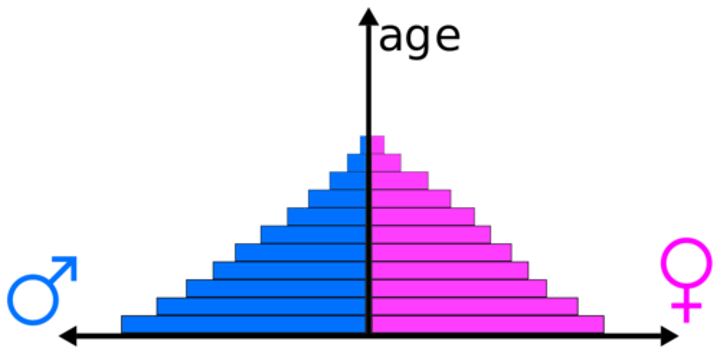 <p>A bar graph representing the distribution of population by age and sex.</p>