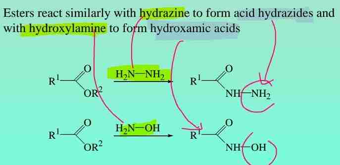 <p>Esters react with hydrazine to form acid hydrazides &amp; with hydroxylamine to form hydroxamic acids</p>