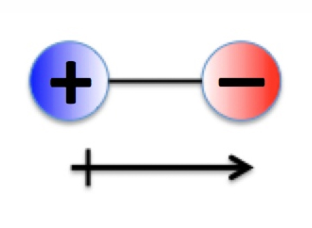 <p><strong>Polar bonds</strong> have <strong>dipoles</strong> (positive and negative ends).</p><p class="p1">Dipoles represented as vectors:</p><ul><li><p><strong>Tail with cross</strong> = positive end.</p></li><li><p><strong>Arrowhead</strong> = negative end.</p></li></ul><p class="p1">Vector representation helps analyse dipole direction in 3D space.</p><p class="p1"></p>