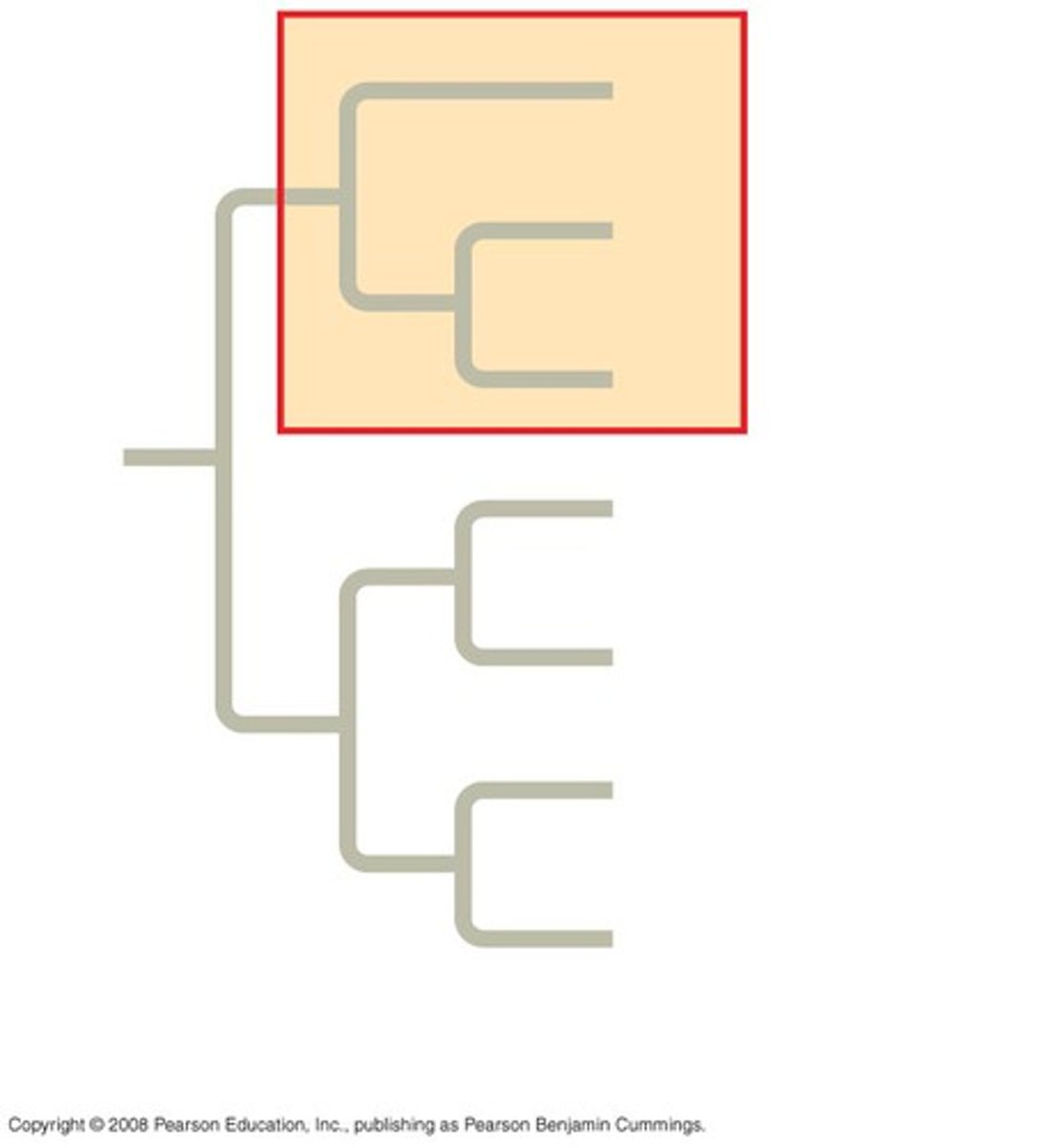 <p>A group of species that includes an ancestral species and all its descendants.</p>