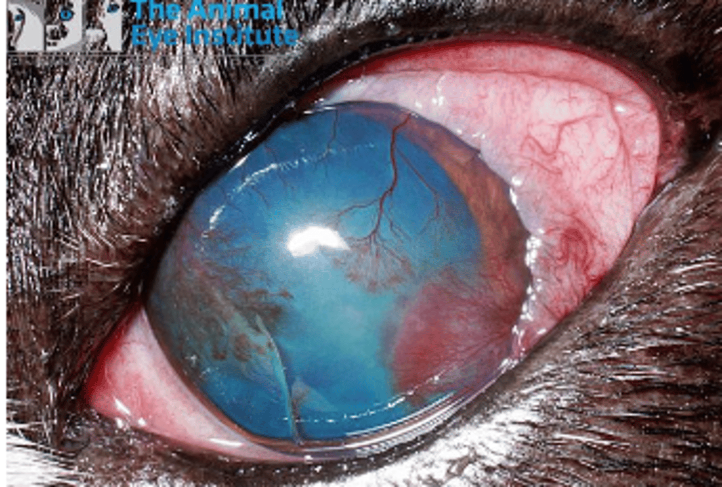 <p>what is wrong?</p>