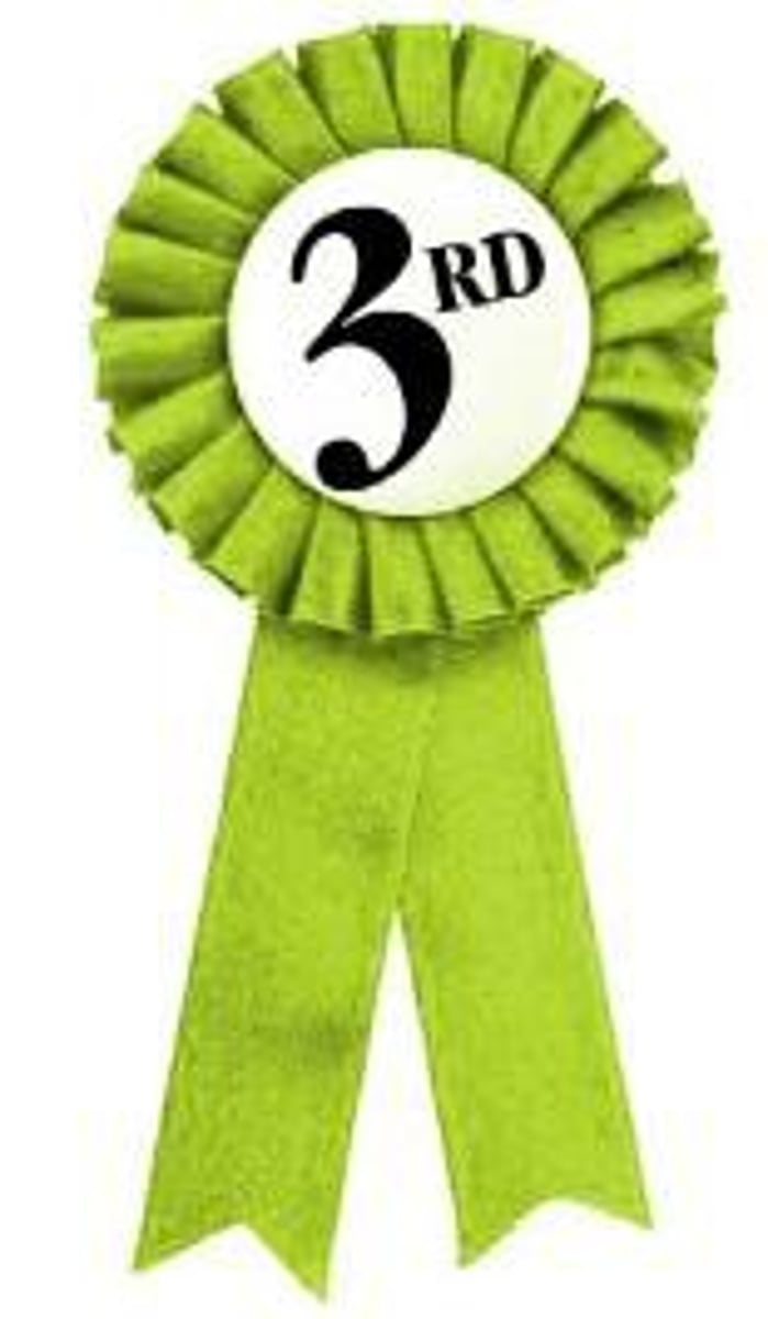 <p>third</p>