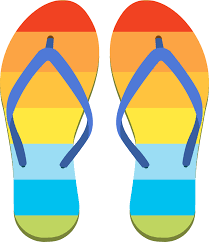 <p>flip flops</p>