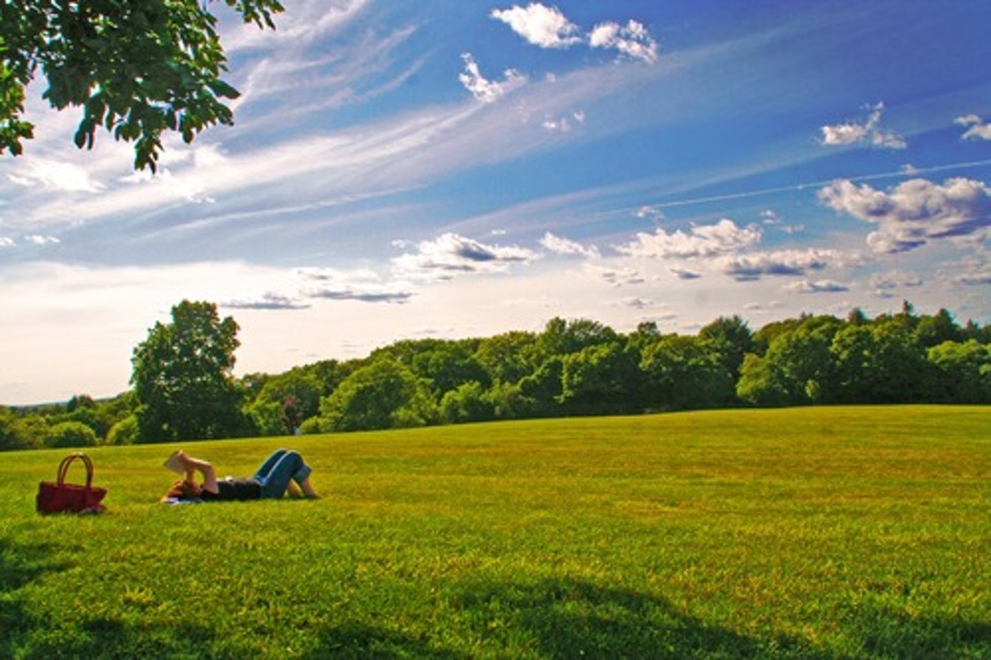 <p>an idyllic place</p>