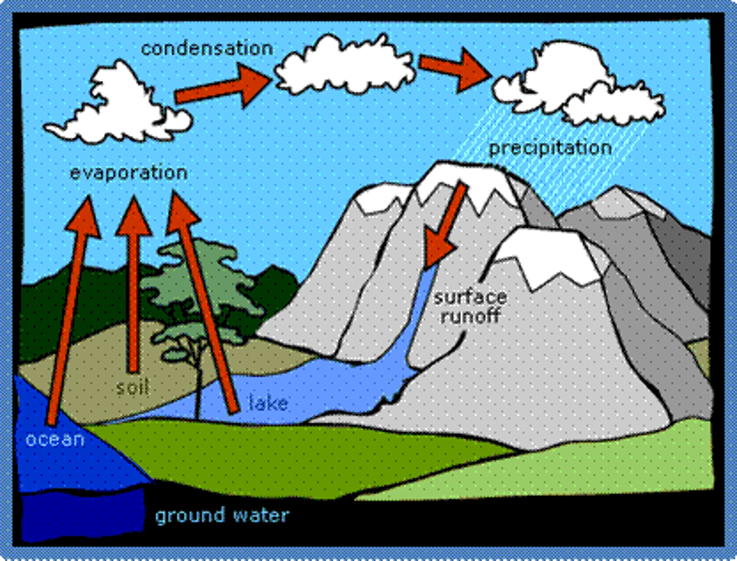 <p>the continuous process by which water moves from Earth's surface to the atmosphere and back</p>