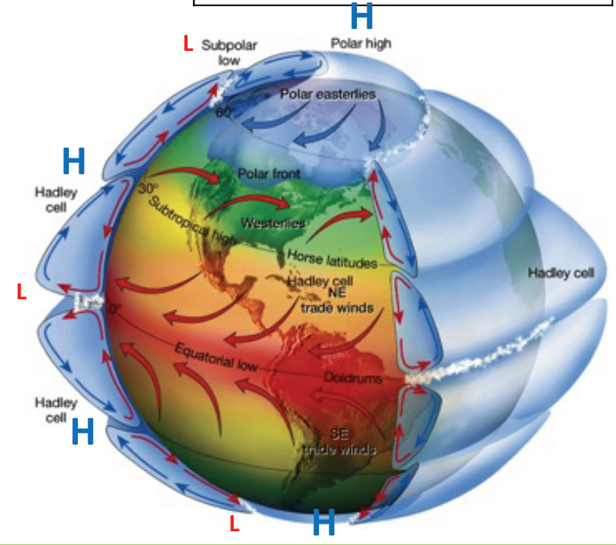 <p>the deflection of an obj path due to the rotation of the earth</p><p></p><p>north-</p><p>high P= clockwise</p><p>low P= counterclockwise</p><p></p><p>south-</p><p>high P= counterclockwise</p><p>low P= clockwise</p>