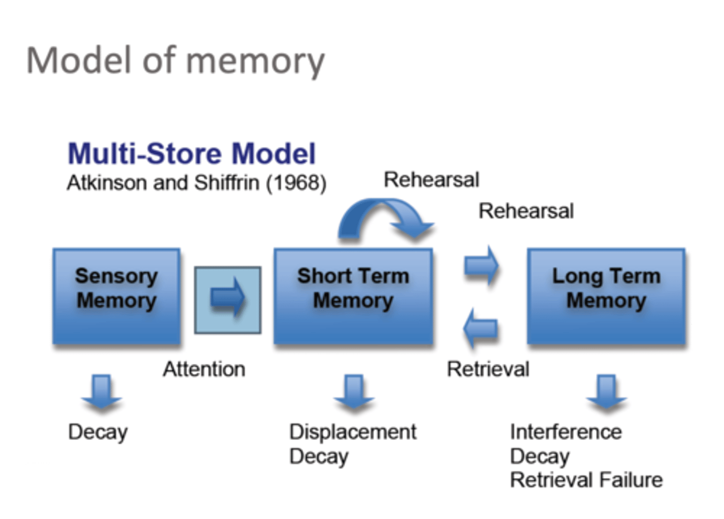 <p>-historical importance-it gave psychologists a way to begin to research memory and the research followed was based off that model<br><br>-testable-the model is testable as different parts of the msm are defined.<br><br>-application-the model can be used in the classroom to teach students revision techniques.</p>