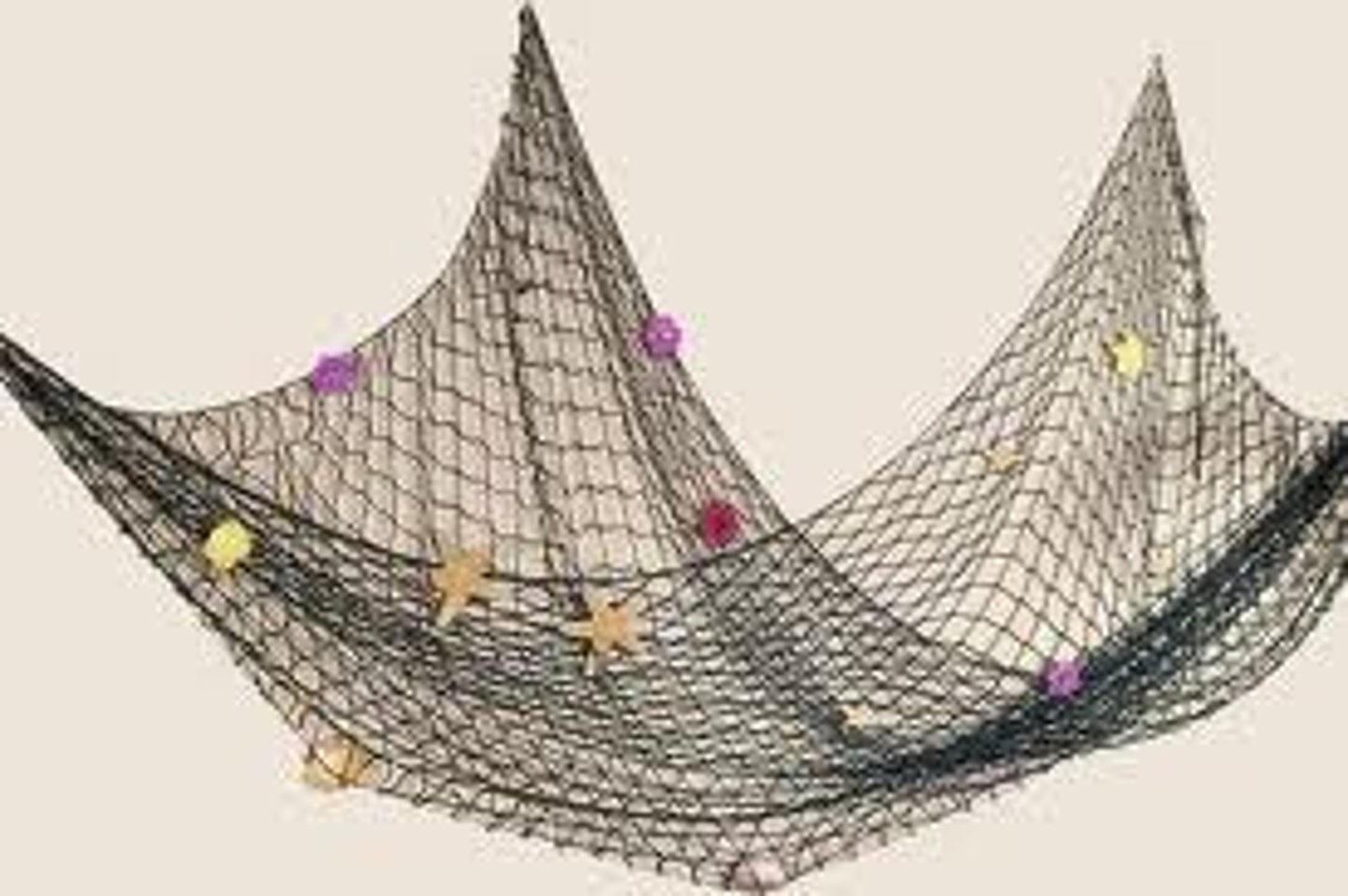 <p>das Fischernetz</p>