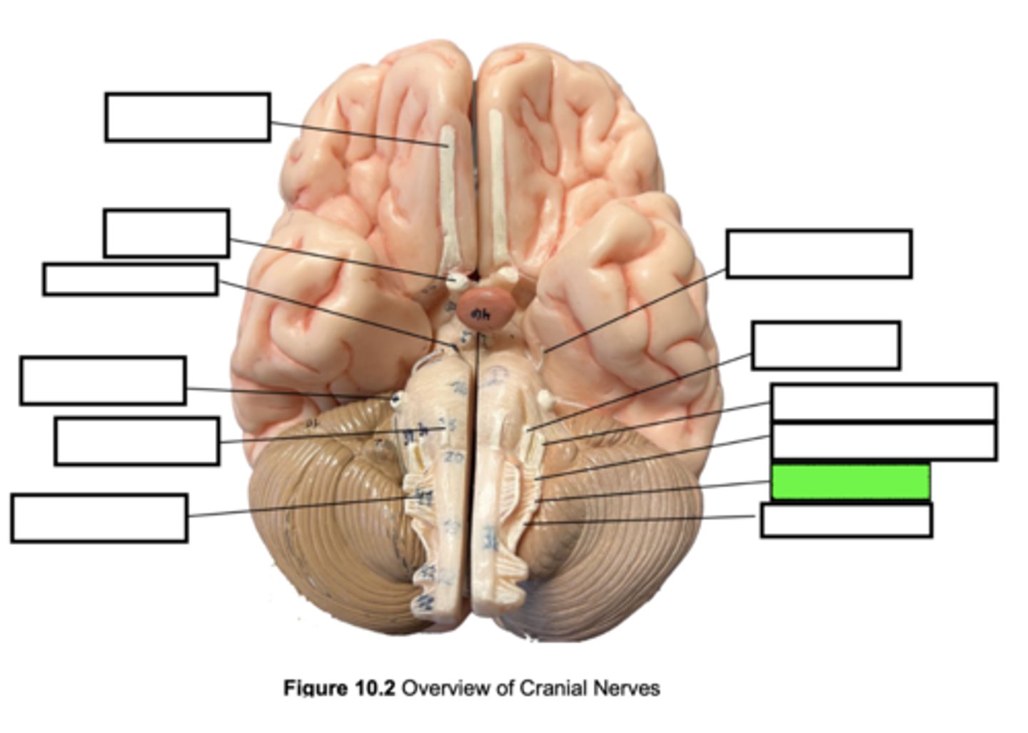 knowt flashcard image