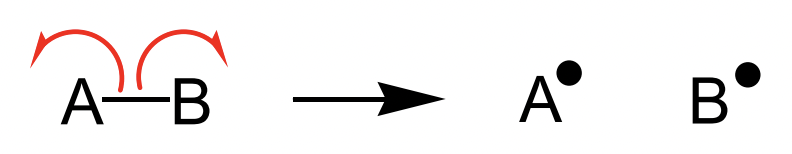 <p>requires bond homolysis = electrons in a bond move separately = two radicals</p>